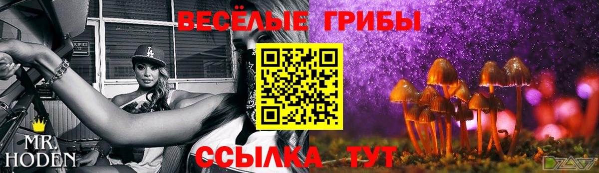Псилоцибиновые грибы мухоморы  Вход с VPN  Реж 